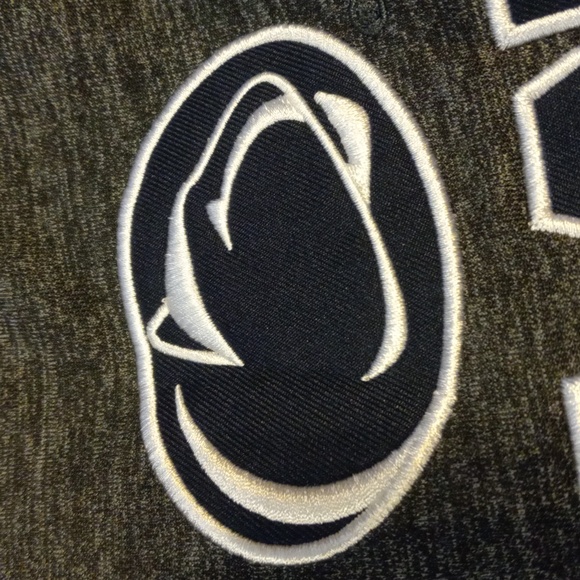 Heavy well made Penn State Nittany Lions hoodie men's size large unisex - Picture 7 of 7